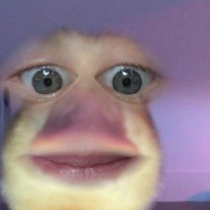 Meet your Posher, Reagan